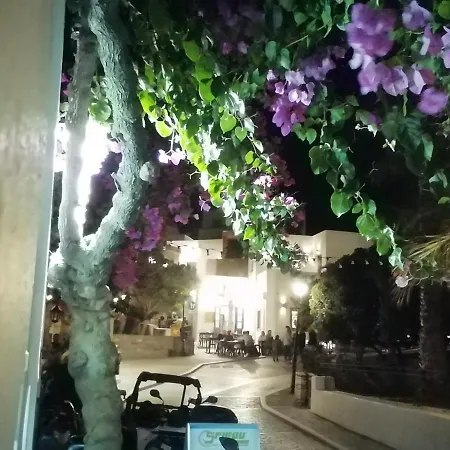 Sunloft-paros 3* 纳乌萨