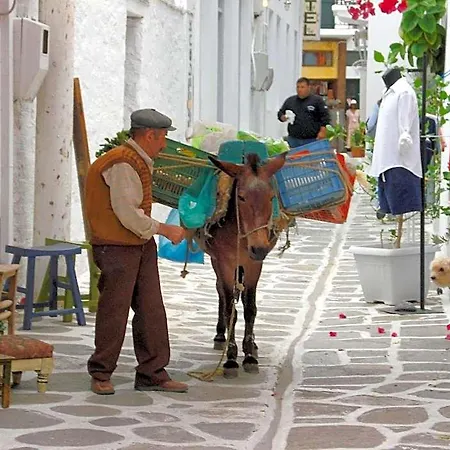 Hotel apartamentowy Sunloft-paros 4*